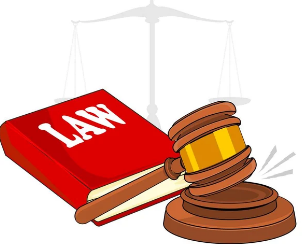 Hỗ trợ pháp lý bảo hiểm tai nạn cá nhân