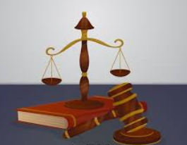 Tư vấn pháp luật giấy phép chuyên sâu