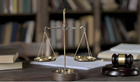 Tư vấn giấy phép kinh doanh nhanh