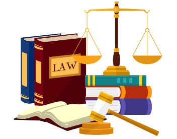 Tư vấn pháp luật thuế chuyên sâu