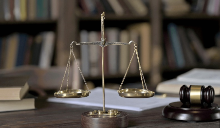 Giải quyết tranh chấp bản quyền nhanh