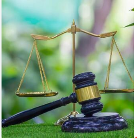 Tư vấn hợp đồng lao động nhanh chóng